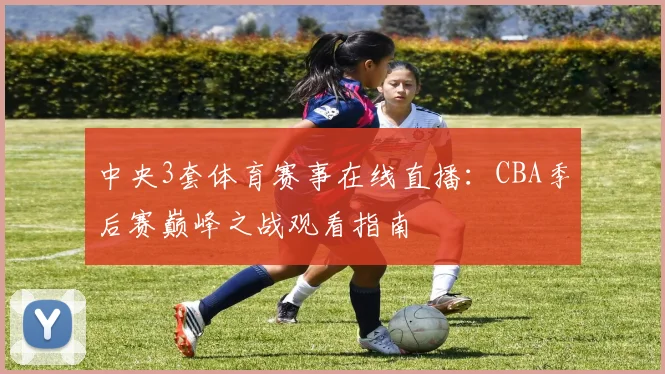中央3套体育赛事在线直播：CBA季后赛巅峰之战观看指南