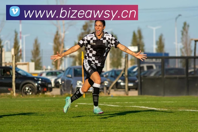 星空体育在线登录网页平台生态图