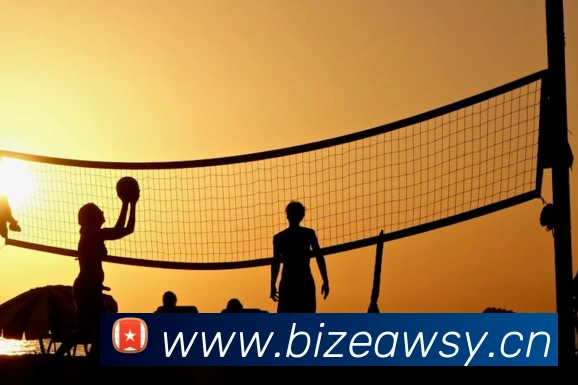 星空体育在线登录网页APP 封面图